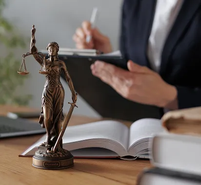 Law Firm